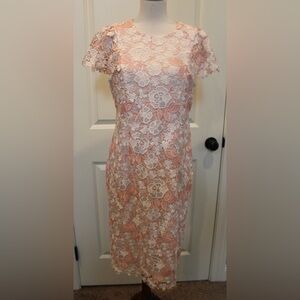 Calvin Klein Pink and white Lace Cap-Sleeve Sheath Dress 
Size 10